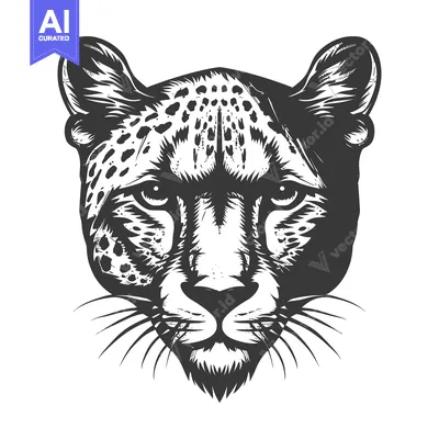 Popular premium asset: Close-up black and white illustration of a cheetah's head
