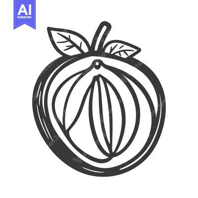 Premium design asset: A black and white illustration of a fruit with leaves