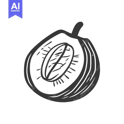 Premium design asset: A halved plum with a seed displayed in black and white