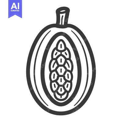 Aset premium populer: A simplified black and white illustration of a cut papaya fruit