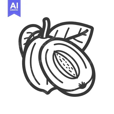 Aset premium populer: Detailed outline of a fruit with its halved portion
