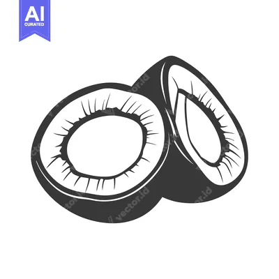 Aset premium populer: Two halves of a monochrome coconut against a white background