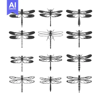 Aset desain premium: Collection of 12 Hand-Drawn Dragonfly Illustrations in Black and White