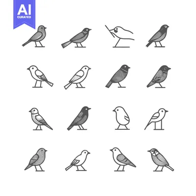 Popular premium asset: Collection of 16 Simple Bird Illustrations in Black and White