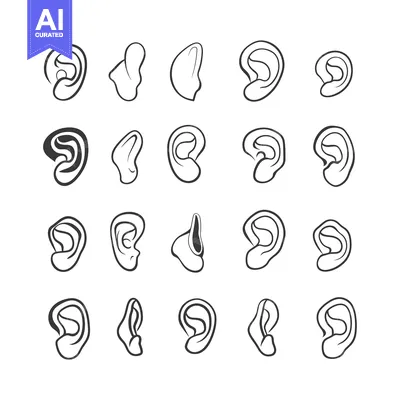 Aset desain premium: Collection of 20 Different Outline Ear Illustrations