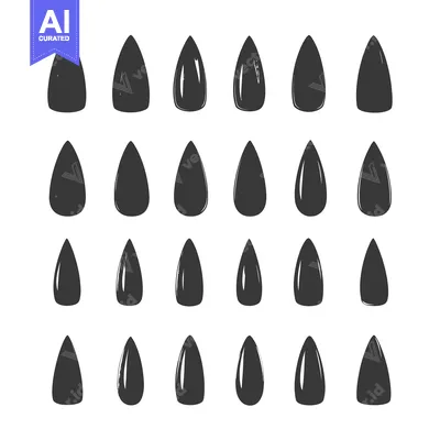 Aset premium populer: Collection of 24 Black and White Sunflower Seed Silhouettes