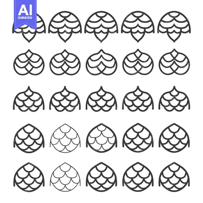Aset premium populer: Collection of 25 Outline Drawings of a Conifer Cone