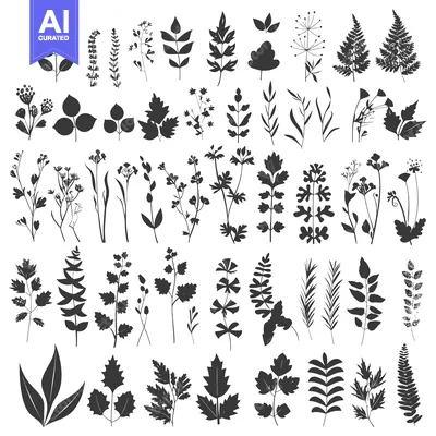 Aset premium populer: Collection of 48 Black and White Silhouettes of Various Plants and Her