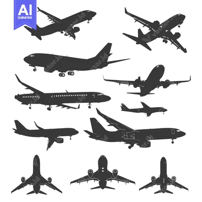 Aset premium populer: Collection of Airplane Silhouettes in Various Flight Positions