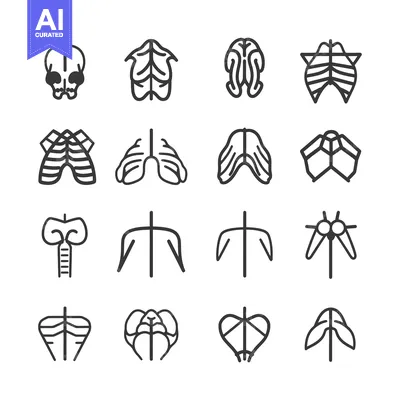Popular premium asset: Collection of Anatomical Body Parts Line Icons