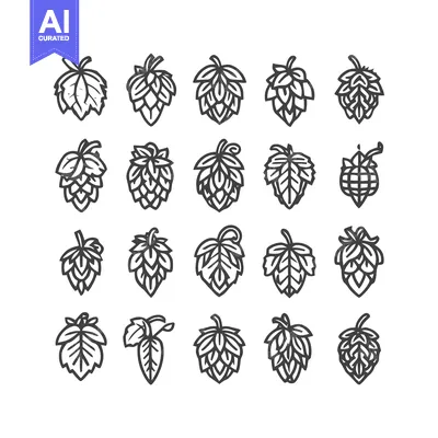 Hop Cones and Leaves - A Collection of Botanical Illustrations.