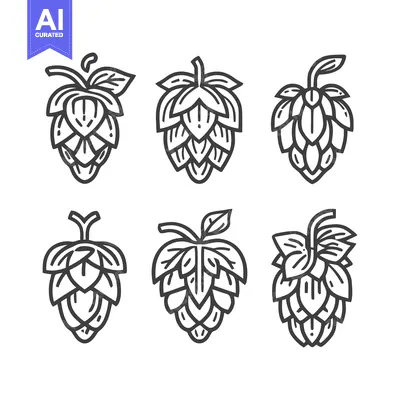 Premium design asset: Six stylized hop cones in black and white line art.
