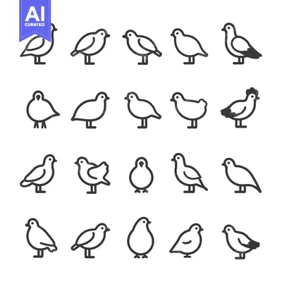 Aset premium populer: Collection of Bird Icons in Outline Style
