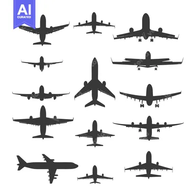 Premium design asset: Collection of Black Airplane Silhouettes in Various Positions