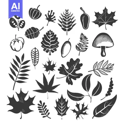 Aset desain premium: Collection of Black and White Botanical Silhouettes