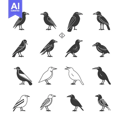 Aset desain premium: Collection of Black and White Crow Illustrations