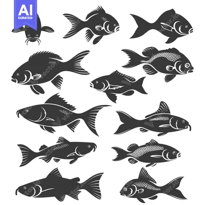 Aset premium populer: Collection of Black and White Fish Silhouettes