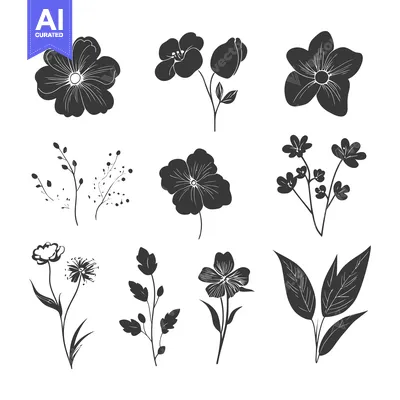 Aset premium populer: Collection of Black and White Floral Silhouettes