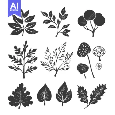 Premium design asset: Collection of Black and White Hand-Drawn Botanical Illustrations