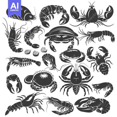 Premium design asset: Collection of Black and White Seafood Silhouettes