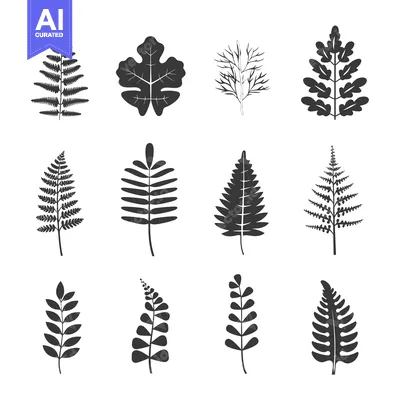 Aset desain premium: Collection of Black and White Silhouettes of Different Leaves and Bran