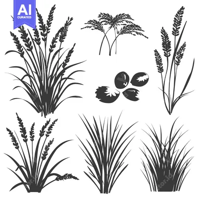 Aset desain premium: Collection of Black and White Silhouettes of Grass and Wheat