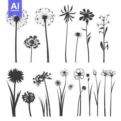 Premium design asset: Collection of Black and White Silhouettes of Various Flowers and Dande