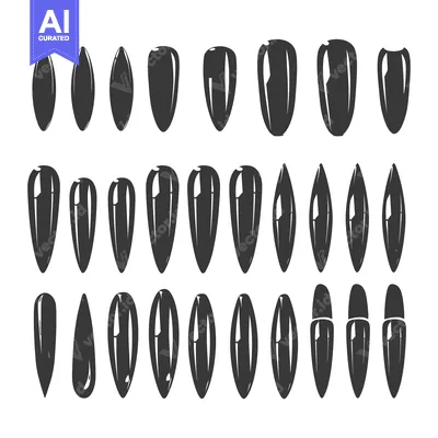 Aset desain premium: Collection of Black and White Sunflower Seed Silhouettes