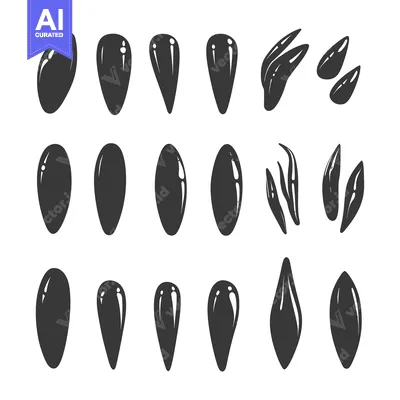 Popular premium asset: Collection of Black and White Sunflower Seed Silhouettes