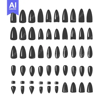 Premium design asset: Collection of Black and White Sunflower Seeds in Various Shapes and Si