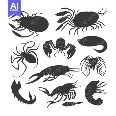 Aset premium populer: Collection of Black Silhouettes of Aquatic Creatures