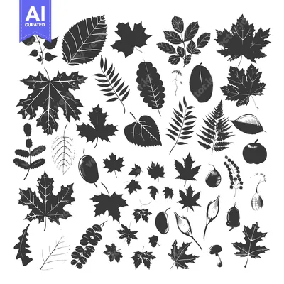 Popular premium asset: Collection of Black Silhouettes of Leaves, Berries, and a Mushroom