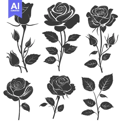 Aset premium populer: Collection of Black Silhouettes of Roses with Stems and Leaves