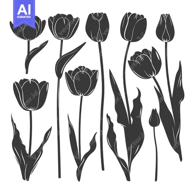 Aset premium populer: Collection of Black Silhouette Tulip Flower Illustrations