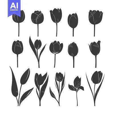 Aset premium populer: Collection of Black Tulip Silhouettes in Various Poses