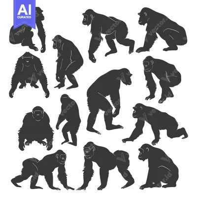 Aset desain premium: Collection of Chimpanzee Silhouettes in Various Poses
