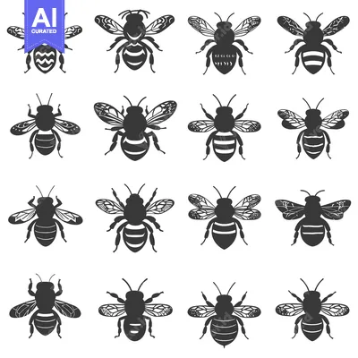 Premium design asset: Collection of Detailed Bee Silhouettes with Varied Wing Patterns