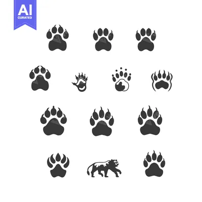 Aset desain premium: Collection of Different Bear Paw Prints and a Bear Silhouette