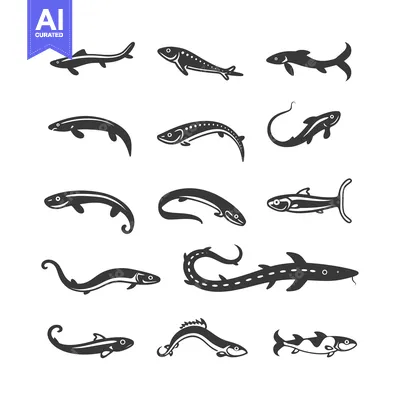 Premium design asset: Collection of Different Fish Silhouette Icons