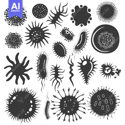 Collection of Different Shapes of Microorganisms