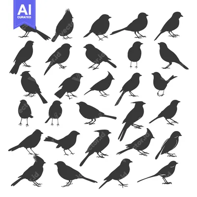 Collection of Diverse Bird Silhouettes in Black and White