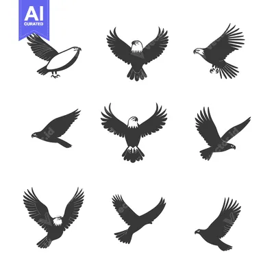 Aset desain premium: Collection of Eagle Silhouettes in Flight