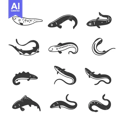 Premium design asset: Collection of Eel and Fish Silhouette Icons