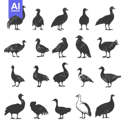 Popular premium asset: Collection of Goose Silhouettes in Various Poses