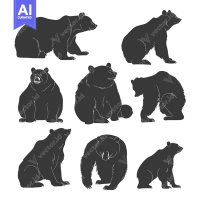 Aset premium populer: Collection of Grizzly Bear Silhouettes in Different Poses