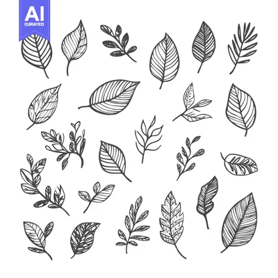 Aset premium populer: Collection of Hand-Drawn Black and White Leaf Illustrations