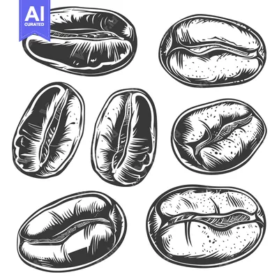 Aset premium populer: Collection of Hand-Drawn Coffee Beans in Black and White