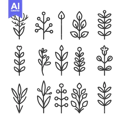 Popular premium asset: Collection of Line Art Floral Designs