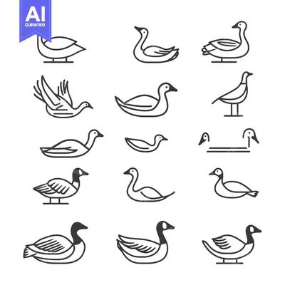 Aset desain premium: Collection of Line Art Goose and Duck Illustrations