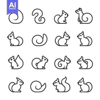 Popular premium asset: Collection of Line Art Squirrel Illustrations with Various Tail Styles